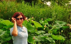 欧美激情A片无码大尺度